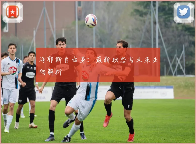 海耶斯自由身：最新动态与未来去向解析